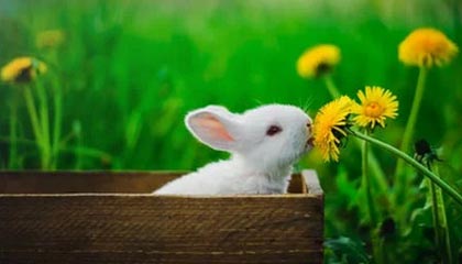 皇马遭遇惨败，主帅面临巨大压力