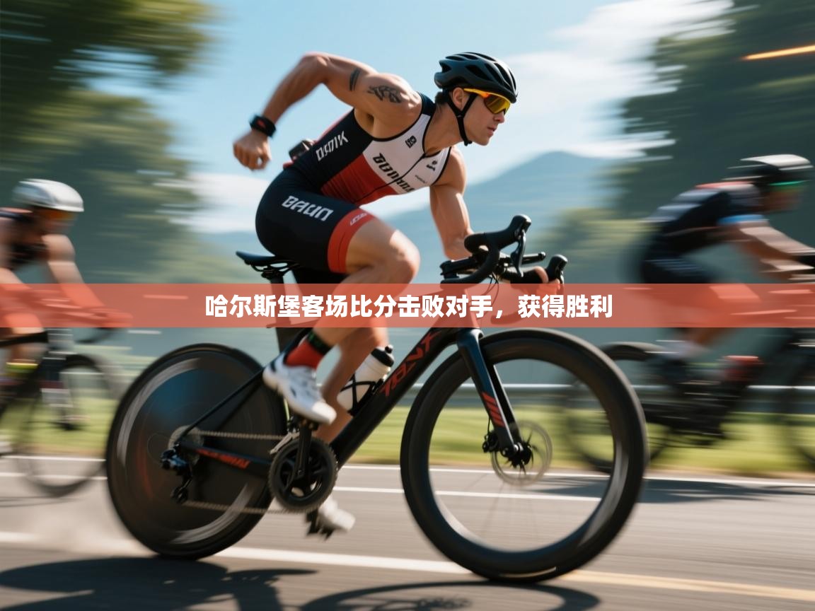 哈尔斯堡客场比分击败对手,获得胜利 第2张