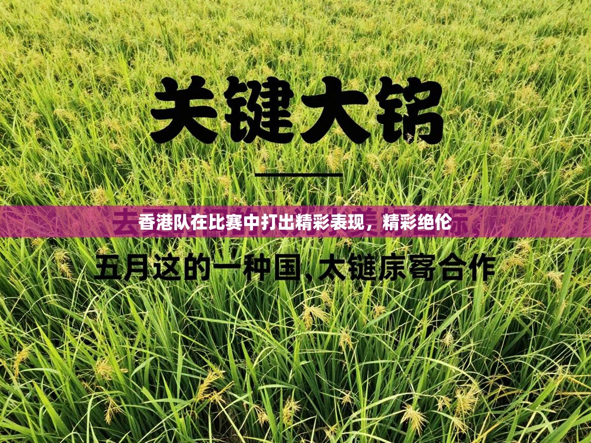 香港队在比赛中打出精彩表现，精彩绝伦  第1张