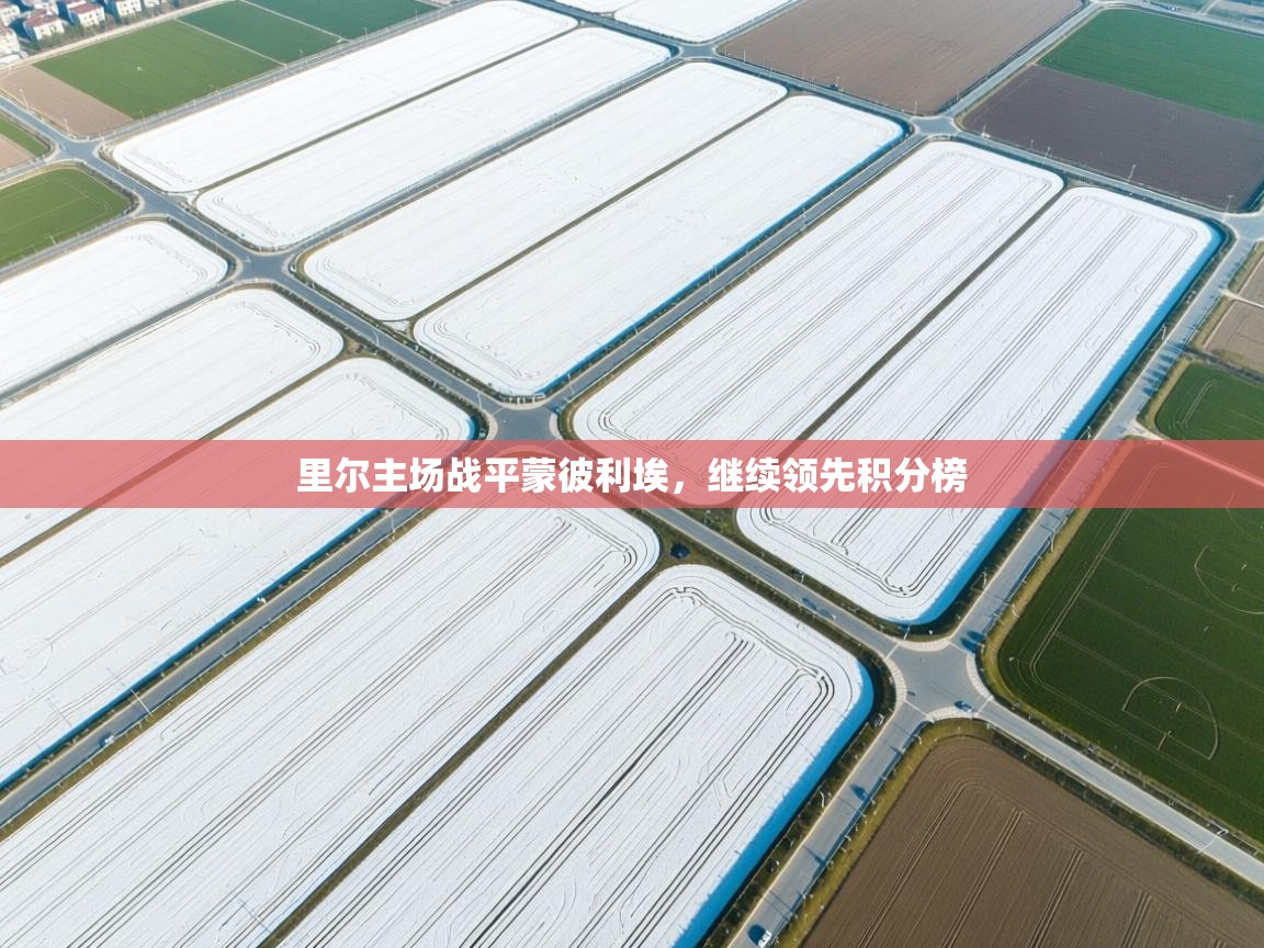 里尔主场战平蒙彼利埃，继续领先积分榜  第1张