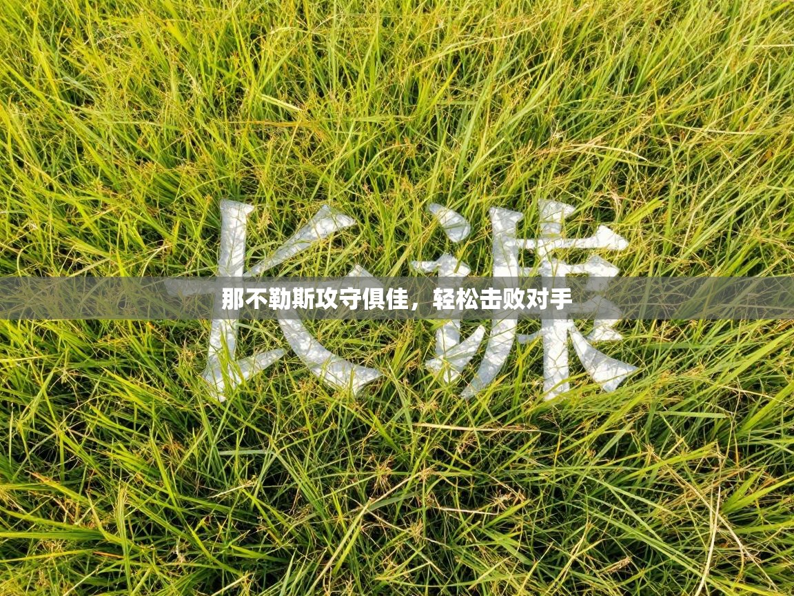 那不勒斯攻守俱佳,轻松击败对手 第1张