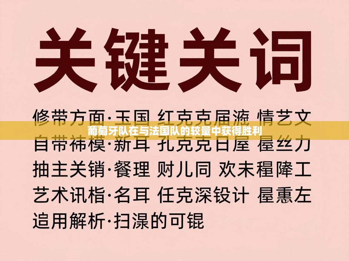 葡萄牙队在与法国队的较量中获得胜利 第2张
